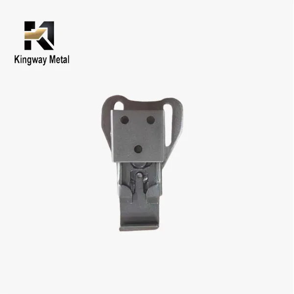Custom Stainless Steel Case Latch LH-0112SG(1)